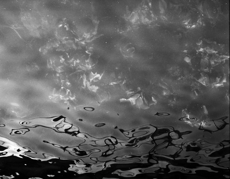 Sydney Harbour. 2014.