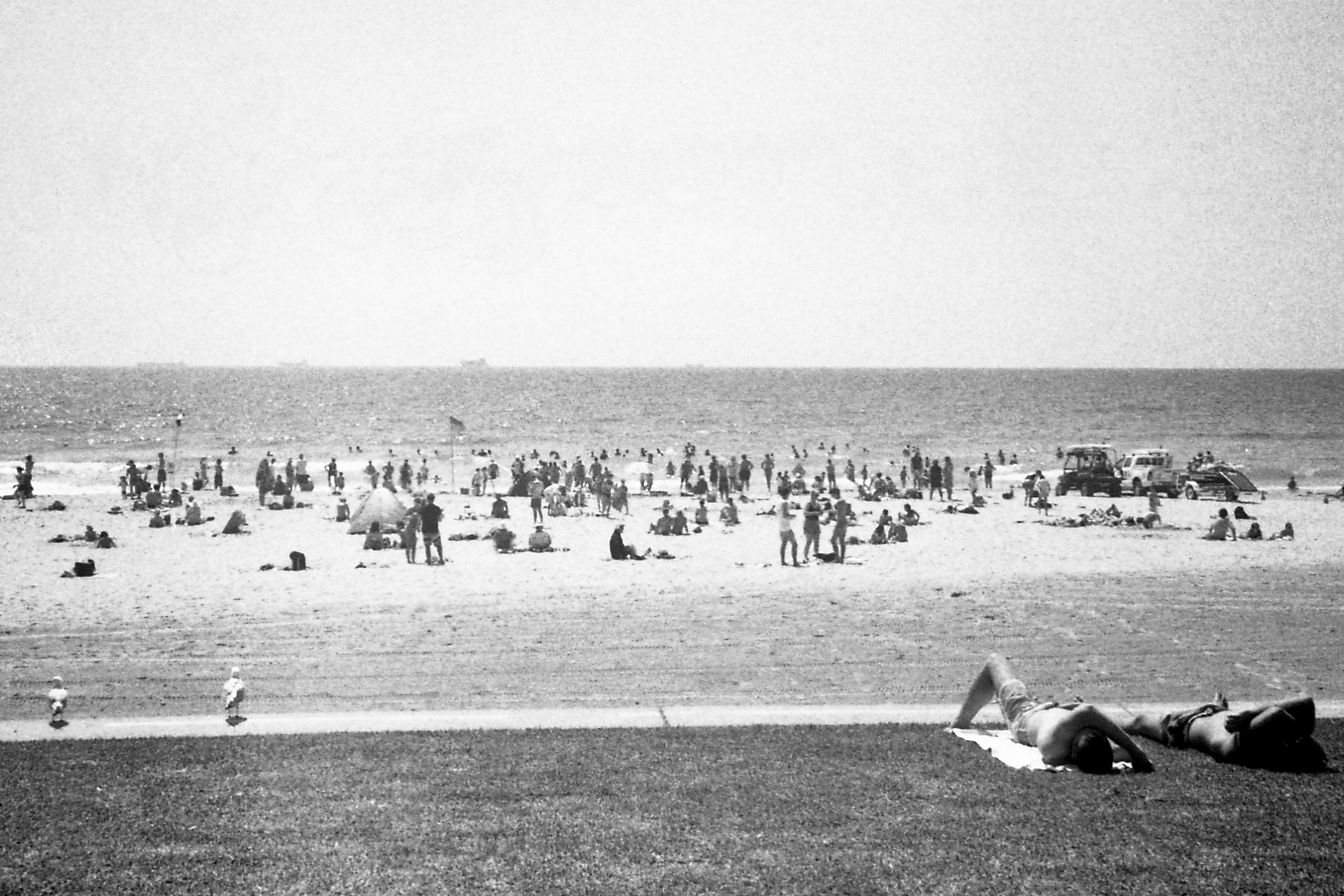 Wollongong. January 1st, 2013.