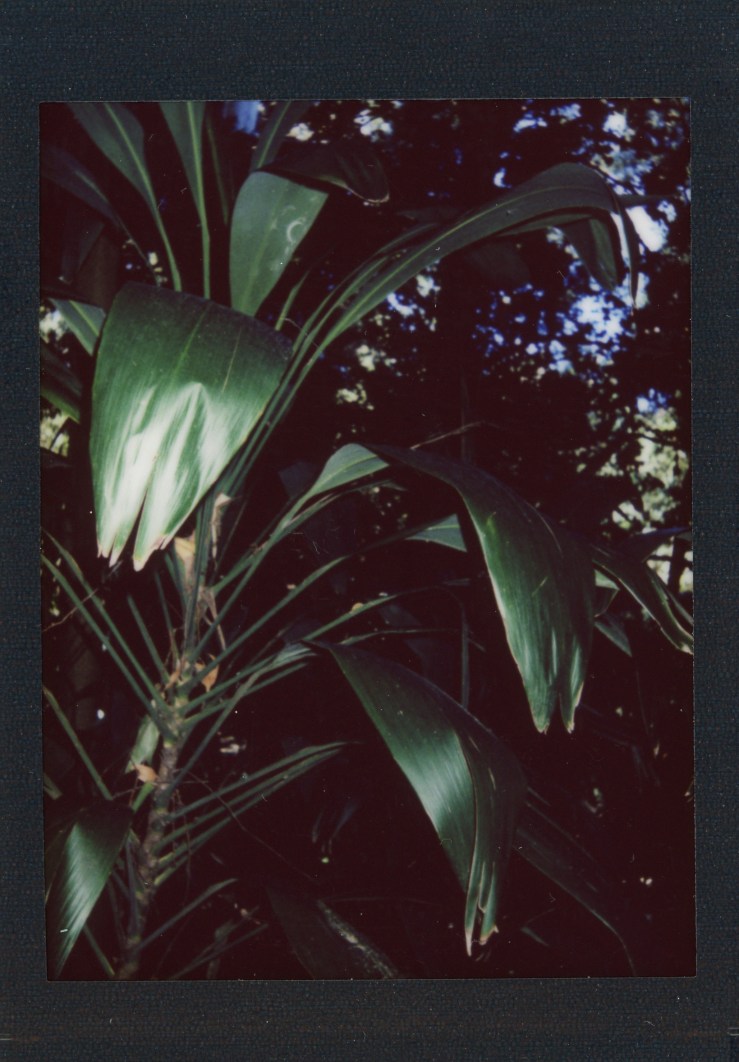 instax7